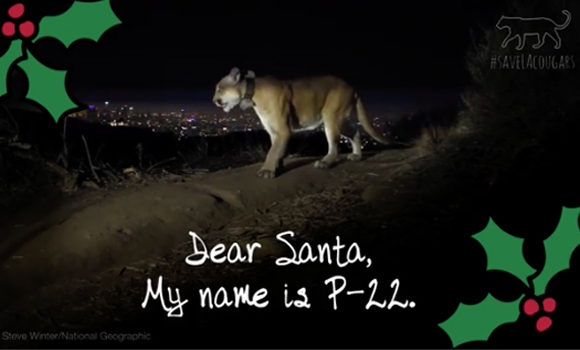 VIDEO | Dear Santa From P-22