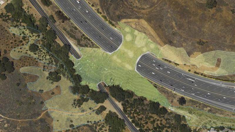 The Asian Age | California to build wildlife crossing over major highway