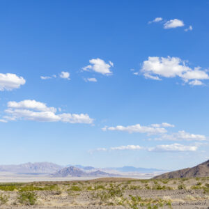 Day 1, continued: Mojave National Preserve, California By Sharon Guynup