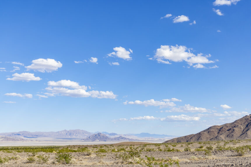 Day 1, continued: Mojave National Preserve, California By Sharon Guynup