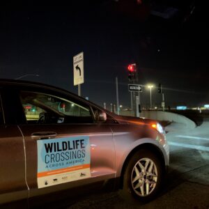 Day 2, Wildlife Crossings Across America Road trip: Our first stop, Liberty Wildlife in Phoenix, AZ By Sharon Guynup