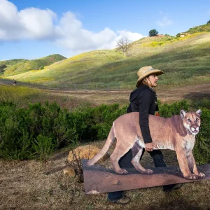 An Urban Wildlife Bridge Is Coming to California