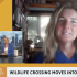 Video:   CBS News – Wildlife crossing over 101 Freeway moves into next phase