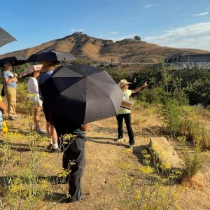 Volunteer docents help connect visitors to future wildlife crossing over 101