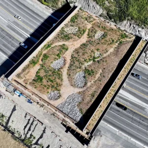 Wallis Annenberg Wildlife Crossing is nearly finished, but already small creatures are making it their home