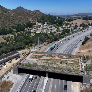 Southern California becoming a hub for wildlife crossings Southern California becoming a hub for wildlife crossings