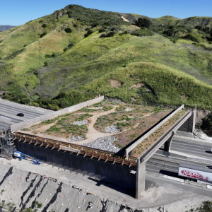 An Elegant Fix For One Of America’s Deadliest Road Problems