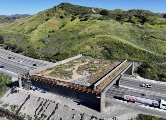 An Elegant Fix For One Of America’s Deadliest Road Problems An Elegant Fix For One Of America’s Deadliest Road Problems