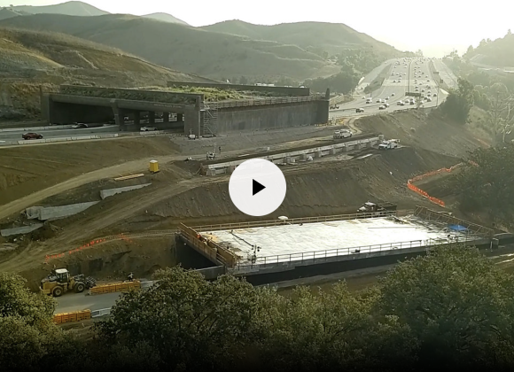 Barring heavy El Niño rain, Wallis Annenberg Wildlife Crossing set to open Dec. 2 Barring heavy El Niño rain, Wallis Annenberg Wildlife Crossing set to open Dec. 2